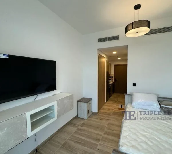 Fully Furnished | Park view | Studio
