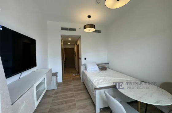 FULLY FURNISHED | PARK VIEW | STUDIO